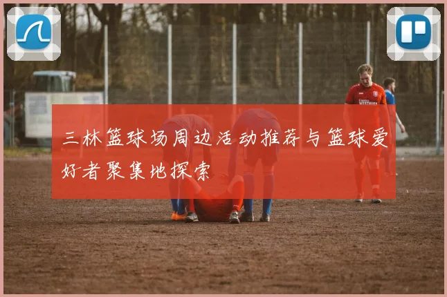 三林篮球场周边活动推荐与篮球爱好者聚集地探索
