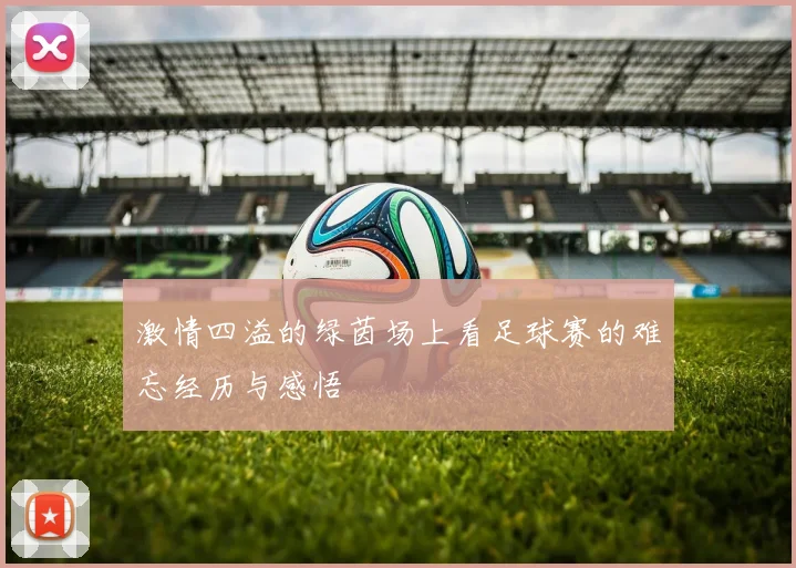 激情四溢的绿茵场上看足球赛的难忘经历与感悟