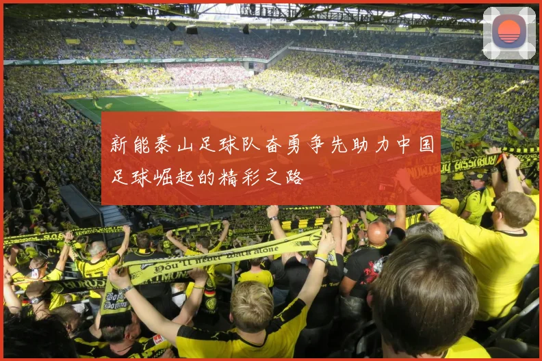 新能泰山足球队奋勇争先助力中国足球崛起的精彩之路