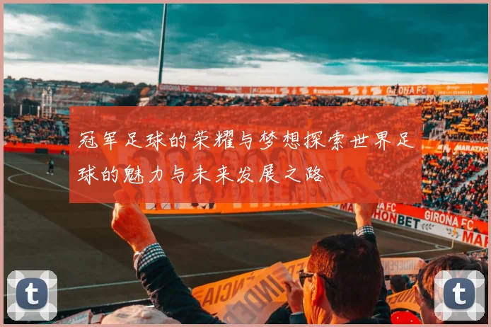 冠军足球的荣耀与梦想探索世界足球的魅力与未来发展之路